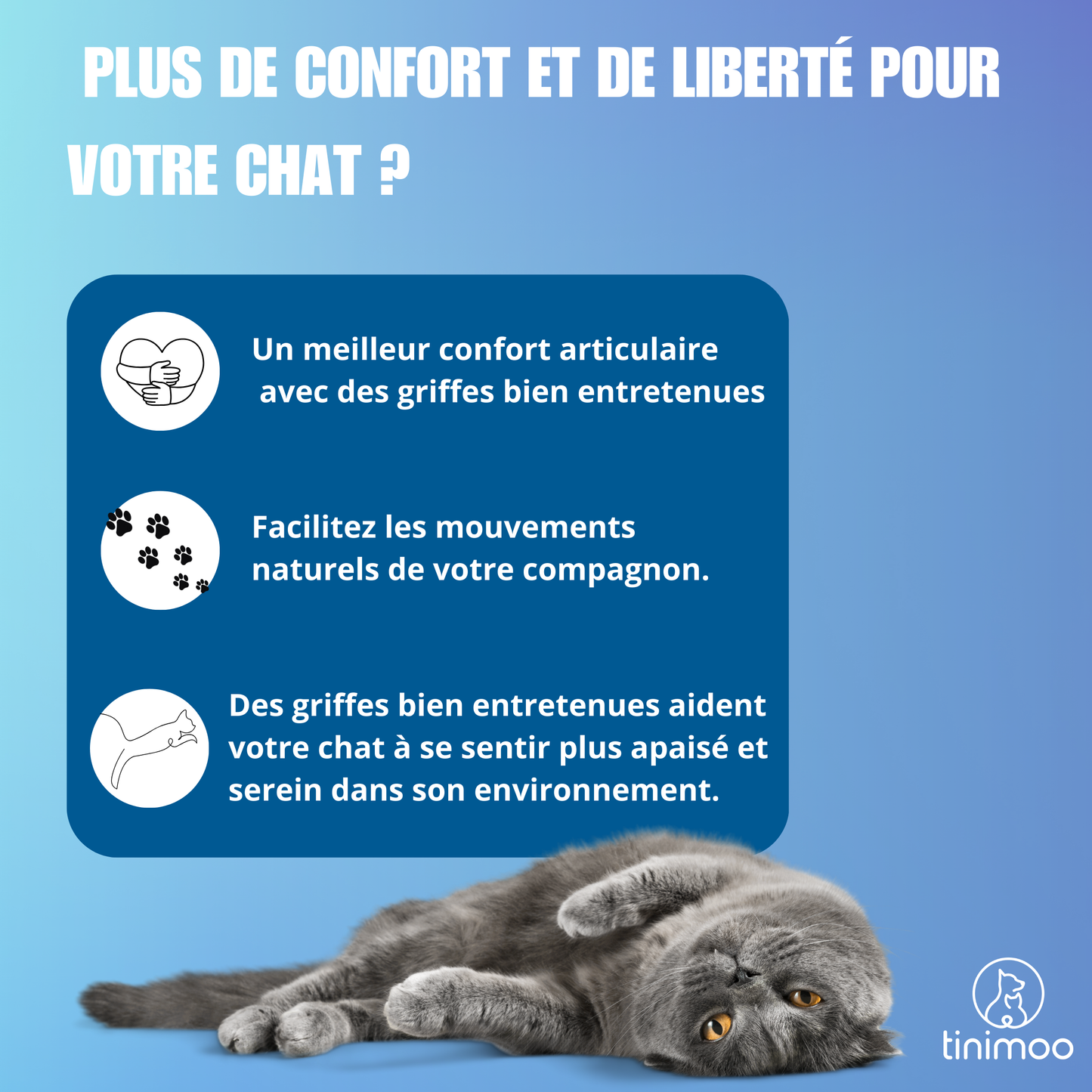 Coupe griffe chat : fini les griffes abîmées ou douloureuses
