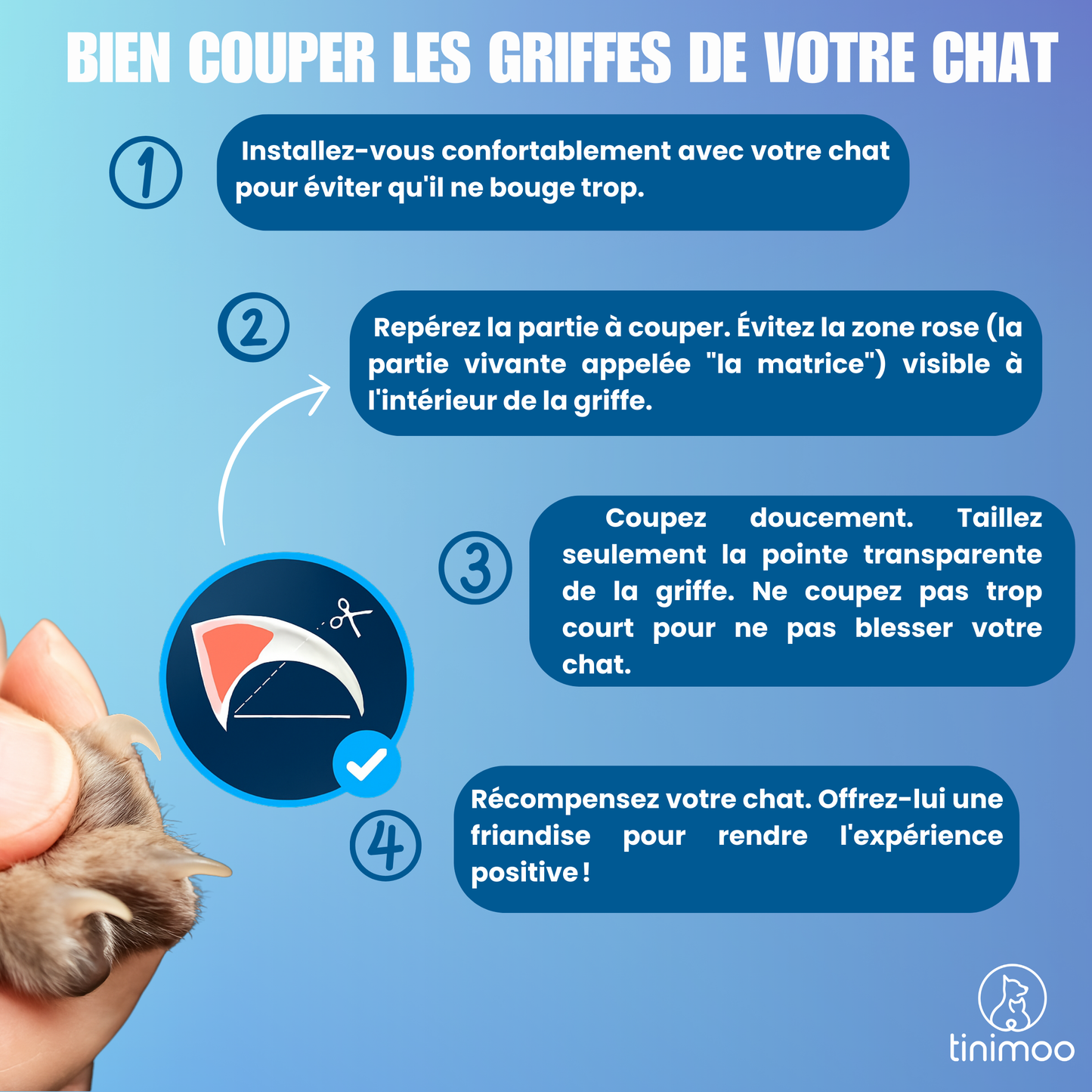 Coupe griffe chat : fini les griffes abîmées ou douloureuses
