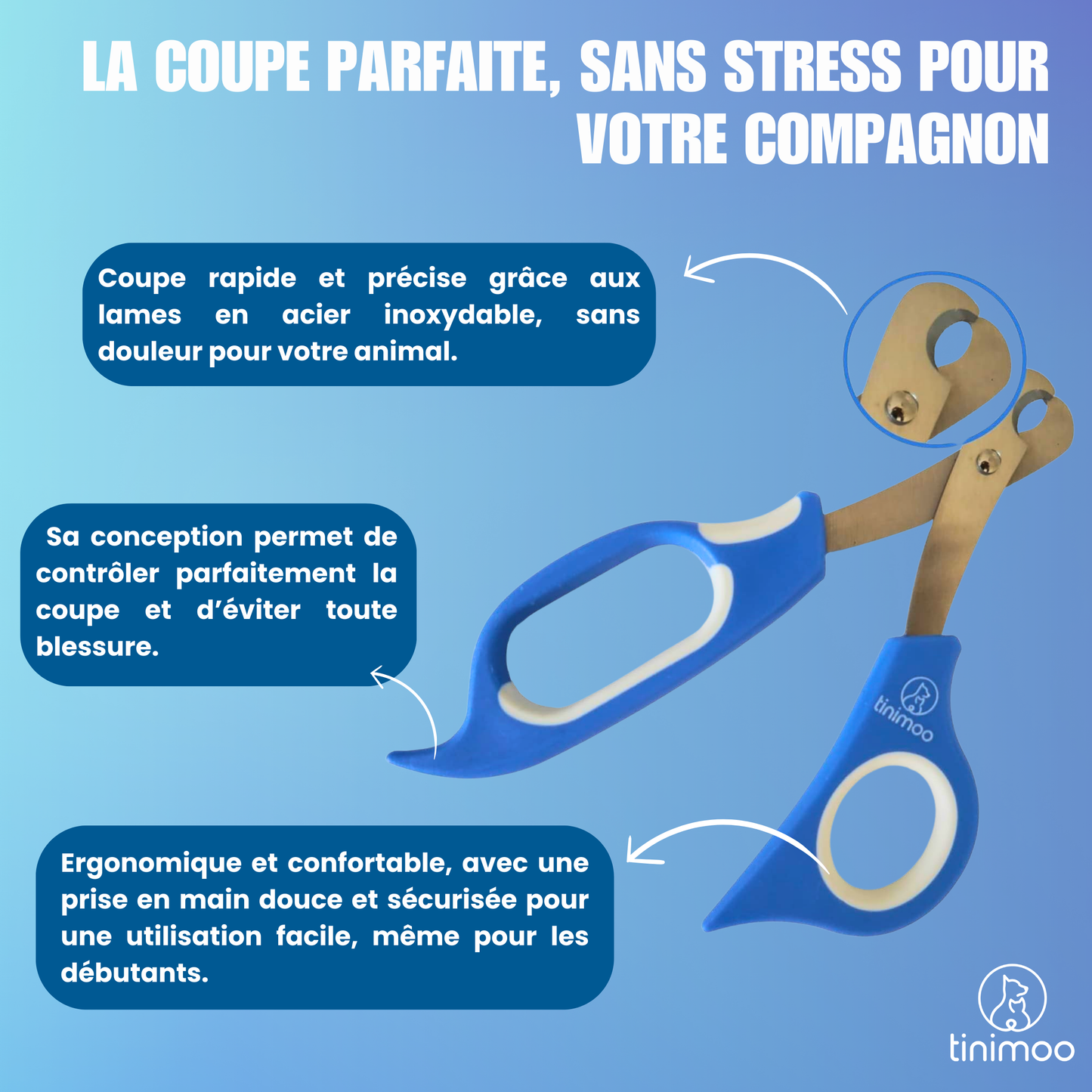Coupe griffe chat : fini les griffes abîmées ou douloureuses