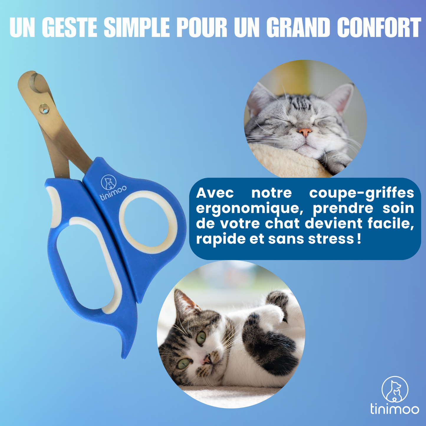 Coupe griffe chat : fini les griffes abîmées ou douloureuses